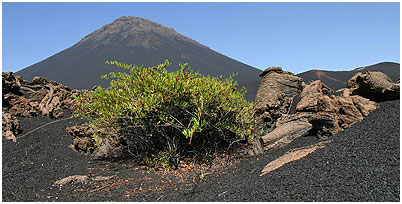 Pacchetto Vacanza Fogo Capo Verde